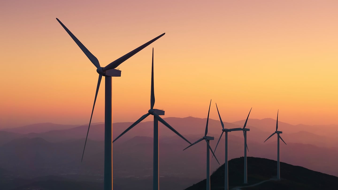 SoF 2025 Sustainability's Lead