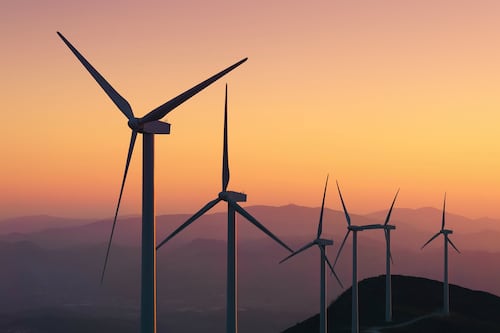 Sustainability: The Case for Collective Action