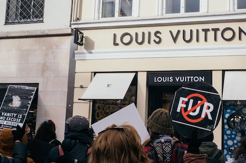 Fur Industry Faces Challenges with Elevation Strategy and LVMH Support